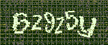CAPTCHA_picture