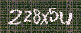 CAPTCHA_picture