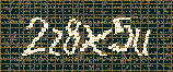 CAPTCHA_picture