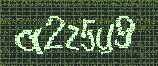 CAPTCHA_picture